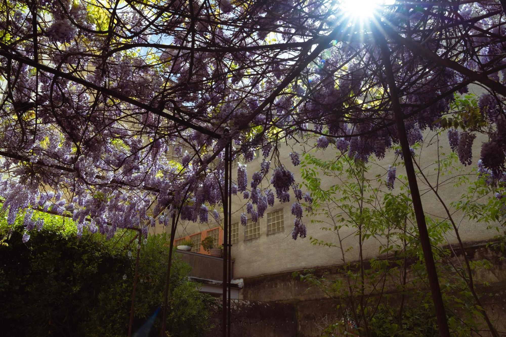 Bastide Appartement